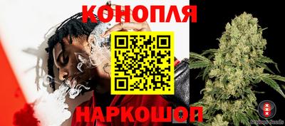 spice Моздок