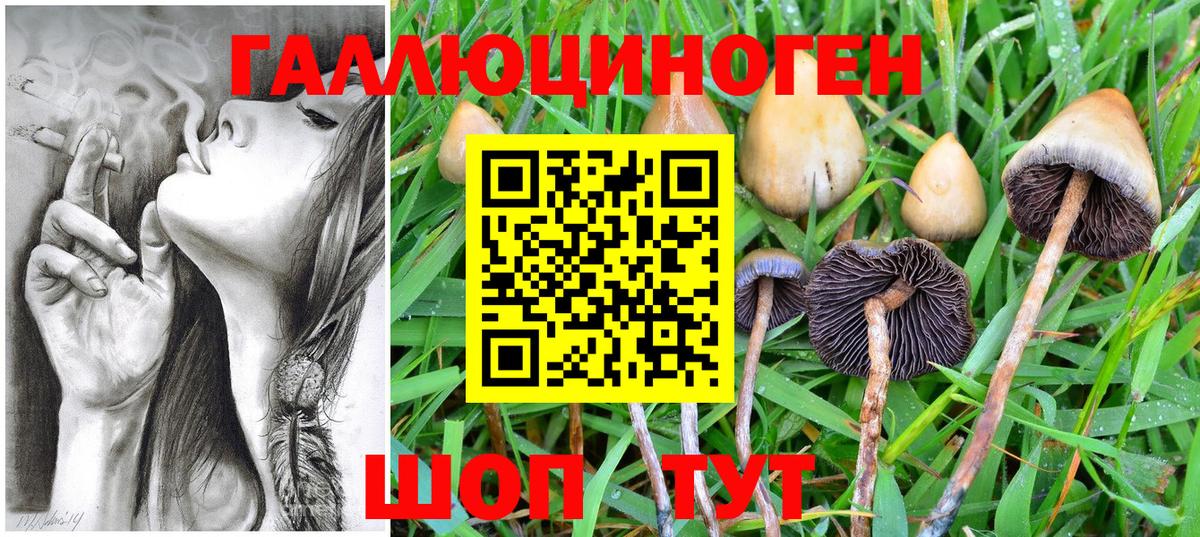 Псилоцибиновые грибы Psilocybe  Вход с VPN  Балаково 